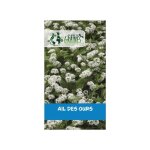 100 graines dail des ours - allium ursinum plante vivace comestible pour sous - bois et jardin