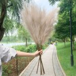 Fleur - plante artificielle - grandes fleurs de pampas - beige - 100 cm - d�coration int�rieure - soie ...
