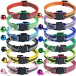 12 pièces collier pour chat chats anti Étranglement chatons chiots réglable réfléchissant collier avec ... 12 pièces collier pour chat chats anti Étranglement chatons chiots réglable réfléchissant collier avec ...