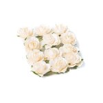 12 roses  piquer ivoire 35 cm - blanc