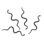 12 serpents plastique 14. 5cm noir - decors de table halloween 12 serpents plastique 14. 5cm noir - decors de table halloween