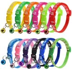 12pcs collier chats avec clochette et boucle de scurit color collier pour chat chaton chiot petit ...