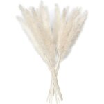15 pcs s�ch�es pampas reed grass plume naturel artificiel pampas s�ch�e fleur phragmites communis 24 ...