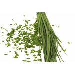 150 graines aromatiques - ciboulette - allium schoenoprasum - got subtil