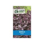 150 graines basilic pourpre - herbe aromatique ornementale et parfum�e - semences potag�res d�coratives ...