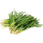 150 graines de ciboule de chine - plante aromatique - l�gumes potager m�thode bio