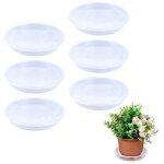 15cm soucoupe pot fleur transparent coupelle pot de fleur pour plante intérieur et extérieur plateau ... 15cm soucoupe pot fleur transparent coupelle pot de fleur pour plante intérieur et extérieur plateau ...