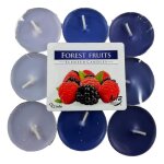 Bougies chauffe - plat - ambiance - fruits des bois - 18 pices - parfum intrieur - bleu