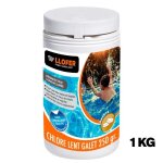 1kg chlore lent galets de 250gr