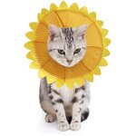 1pcs collerettes pour chiens chat anti - morsure protection ajustable collier de récupération comfy cone ... 1pcs collerettes pour chiens chat anti - morsure protection ajustable collier de récupération comfy cone ...