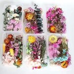 2 boîtes vraies fleurs pressées séchées naturelles fleurs sechees fleurs pressées pour scrapbooking loisirs ... 2 boîtes vraies fleurs pressées séchées naturelles fleurs sechees fleurs pressées pour scrapbooking loisirs ...