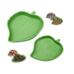 2 pices gamelles plates pour reptiles bol deau de nourriture pour reptiles bol gamelle deau pour tortue ...