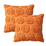 2 pi�ces housse de coussin halloweencitrouille orange taies doreiller pour canap� salon maison ext�rieur ...