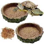 2 pi�ce trompete specialty wood grain tortue terrestre water bowl enclos tortue terrestre exterieur terrarium ...