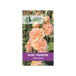 20 graines de rose tr�mi�re double rose saumon - alcea rosea - fleurs de jardin majestueuses