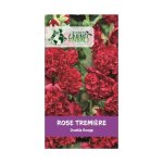 20 graines de rose tr�mi�re rouge �clatante - alcea rosea - fleurs de jardin majestueuses - plan�te graines ...