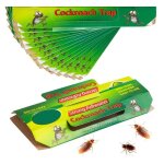 20 pi�ces piege cafard produit anti cafards puissant piege a blatte cafard efficace collant pi�ge � cafards ...