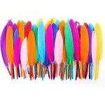 200 pcs coloré nature oie plume plume pour bricolage artisanat de maison parti décor dream catchers boucles ... 200 pcs coloré nature oie plume plume pour bricolage artisanat de maison parti décor dream catchers boucles ...