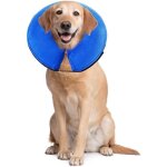 2021 collier gonflable de rtablissement de chien confortable collerette de protection pour chien chats ...