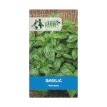 250 graines basilic grand vert genovese - herbe aromatique classique g�ante - semences potag�res int�rieur ...