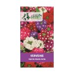 250 graines verveine g�ante hybride vari�e - fleurs multicolores massifs et bouquets - semences jardin ...