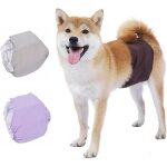 3 couches lavables réutilisables pour chien male culotte protection nappy lors des périodes physiologiques ... 3 couches lavables réutilisables pour chien male culotte protection nappy lors des périodes physiologiques ...