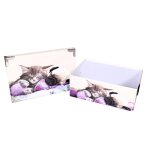 3 grandes bo�tes de rangement chat d�cor chattons avec angles et poign�es en m�tal t: 38x26. 5x14 40x28. ...
