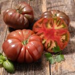 3 plants tomate noire de crim�e motte 7cm