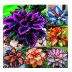 300 graines dhostas aux formes vari�es plantation en ext�rieur graines dhostas arc - en - ciel rares ...