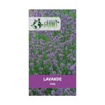300 graines de lavande vraie bleue plante aromatique mellif�re et relaxante pour jardin et balcon facile ...