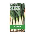 300 graines poireaux dhiver grand - semences potager rustiques gros f�ts - l�gumes de saison - plan�te ...