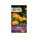 35 graines de souci des champs (calendula arvensis) - plante compagne facile - fleur comestible et mellif�re ...