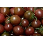 35 graines de tomate cerise black cherry - l�gumes semis potager - m�thode bio