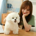 38x28x16cm - peluche de chien bichon frise de haute qualité jouet de chien en peluche coréen chien de ... 38x28x16cm - peluche de chien bichon frise de haute qualité jouet de chien en peluche coréen chien de ...