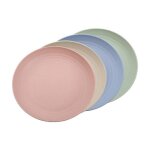 Assiettes  dner - noname - 25 cm - plastique incassable - lot de 4 - compatible lave - vaisselle