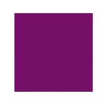 40 serviettes de table jetable cocktail papier 25cm pourpre violet lilas lavande parme prune 40 serviettes de table jetable cocktail papier 25cm pourpre violet lilas lavande parme prune