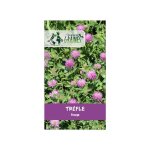 440 graines de tr�fle rouge : fleurs alimentation pour tortue et jardin facile