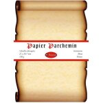 5 feuilles d�coup�es parchemin a4 ivoire