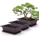 5 paquets bonsai entra�nement pots and plateaux pots dentra�nement pot de plante plastique carr� avec ...