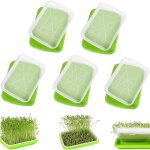5 pi�ces plateau de germination bac � semis plateau semis plateau de propagateur de graines germinateur ...