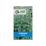 50 graines de consoude - symphytum officinale - plante mellif�re et engrais naturel