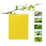 50 pices piges  insecte papier collant double facejaune sticky papiers pour mouches blanches pucerons ...