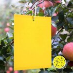 50 pi�ges jaunes englu�s 20x15cm autocollants anti - mouches pour plantes pi�ge � moucherons pucerons ...