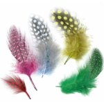Plumes doiseaux - assortiment multicolore - 50 pi�ces - d�coration - loisirs cr�atifs - enfant