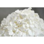 Pastilles vichy sac 500 gr
