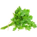 500 graines de persil plat - plante aromatique - l�gumes potager m�thode bio