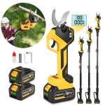 S�cateur �lectrique sur perche - mellwin - mellwin - coupe 50 mm - perche t�lescopique 97 / 137 / 180 ...