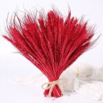 50pcs - 23cm - rouge - bouquet de bl naturel sch 50 picesvraies fleurs dcoration pour la maison ...