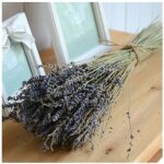 50pcs lavande - bouquet de fleurs naturelles s�ch�es � la lavande 50 pi�ces pour la d�coration de la ...