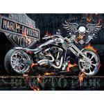5d diamond painting5d diamond painting diy kits moto de mort - vivant squelette broderie diamant kits ... 5d diamond painting5d diamond painting diy kits moto de mort - vivant squelette broderie diamant kits ...